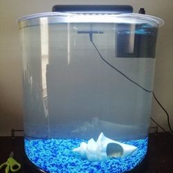 10 Gallon Half moon Aquarium