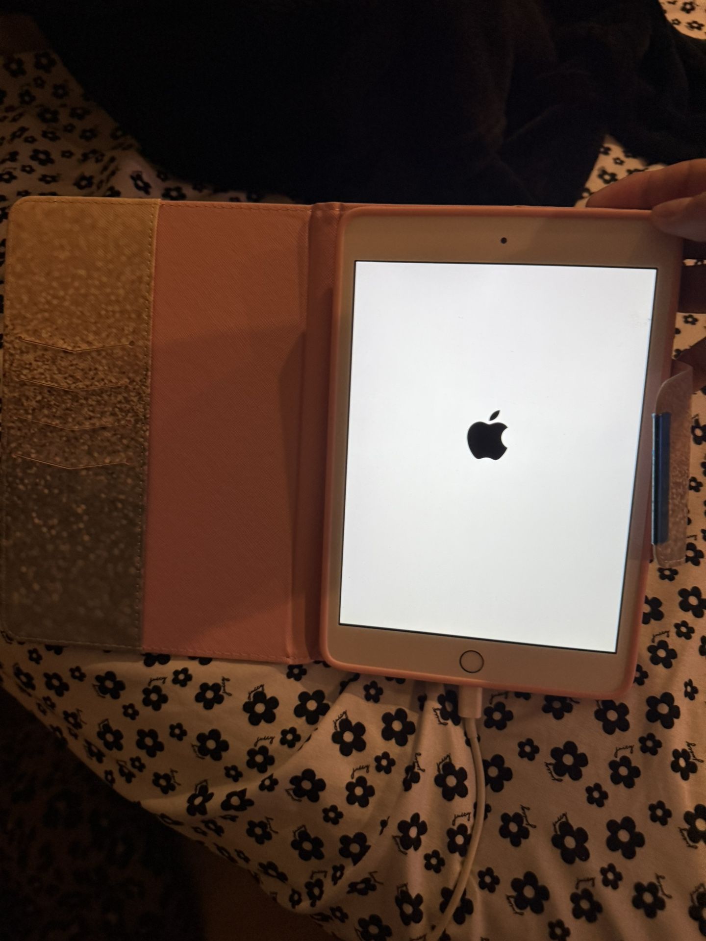 Ipad Mini 2