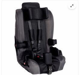 Special needs car seat