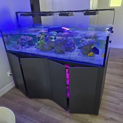180 Gallon Aquarium 