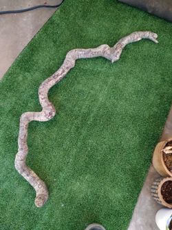 Genuine Driftwood For Aquariums Terrariums Decor