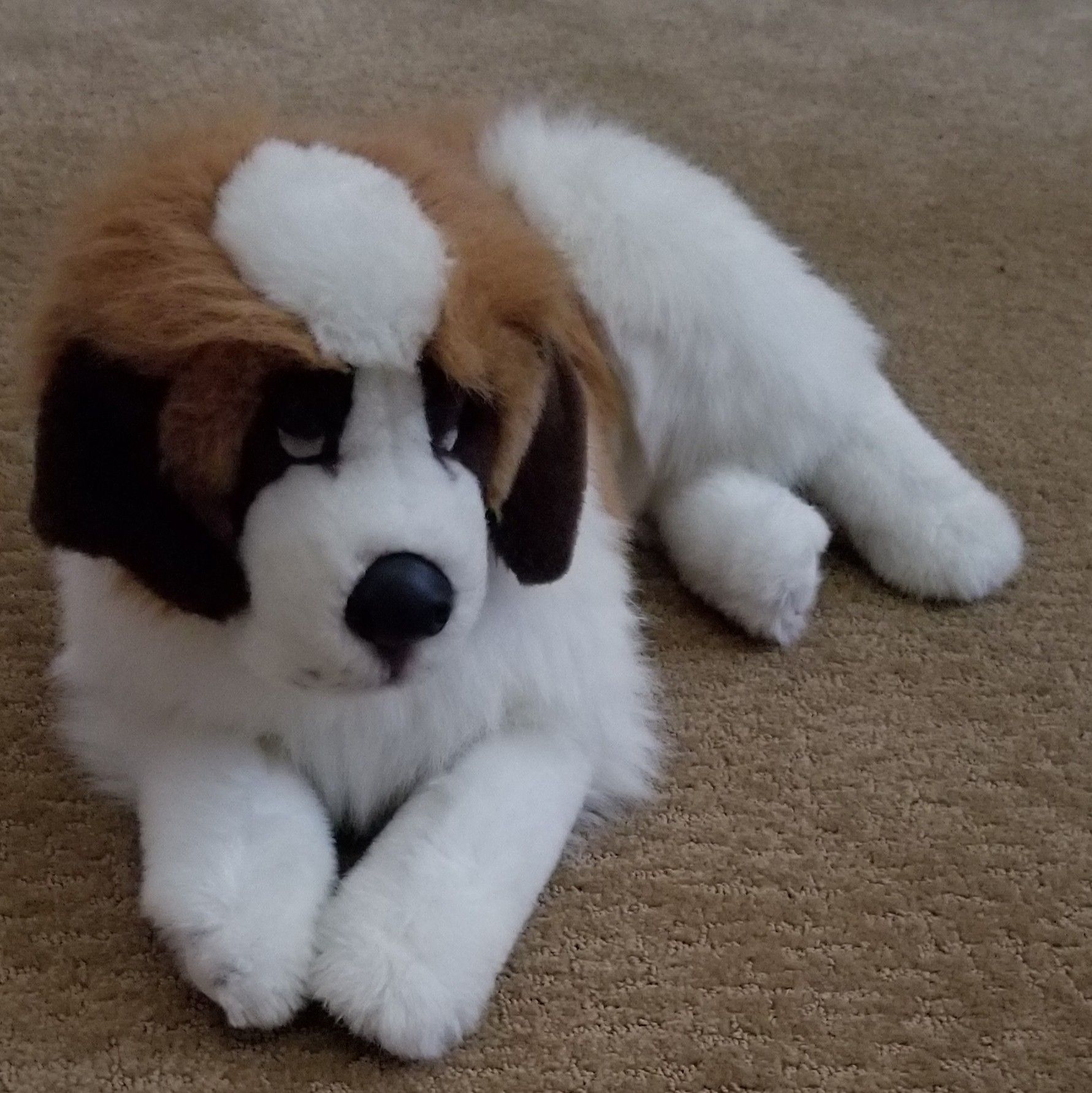 St Bernard plush dog
