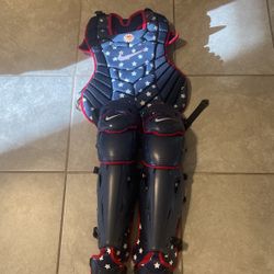 Nike 4th of July Catchers Gear New USA Edition for Sale in Sun City AZ OfferUp