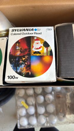 Colored Outdoor Flood