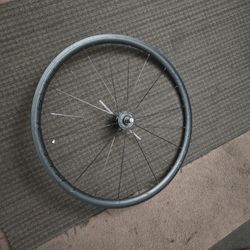 Throne Front Rim