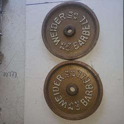 Weights Plates 205lbs -all or individually