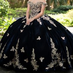 Princea by: Ariana Vara velvet ball gown w/ butterfly details, long gloves,cape & 2 extra crinolines