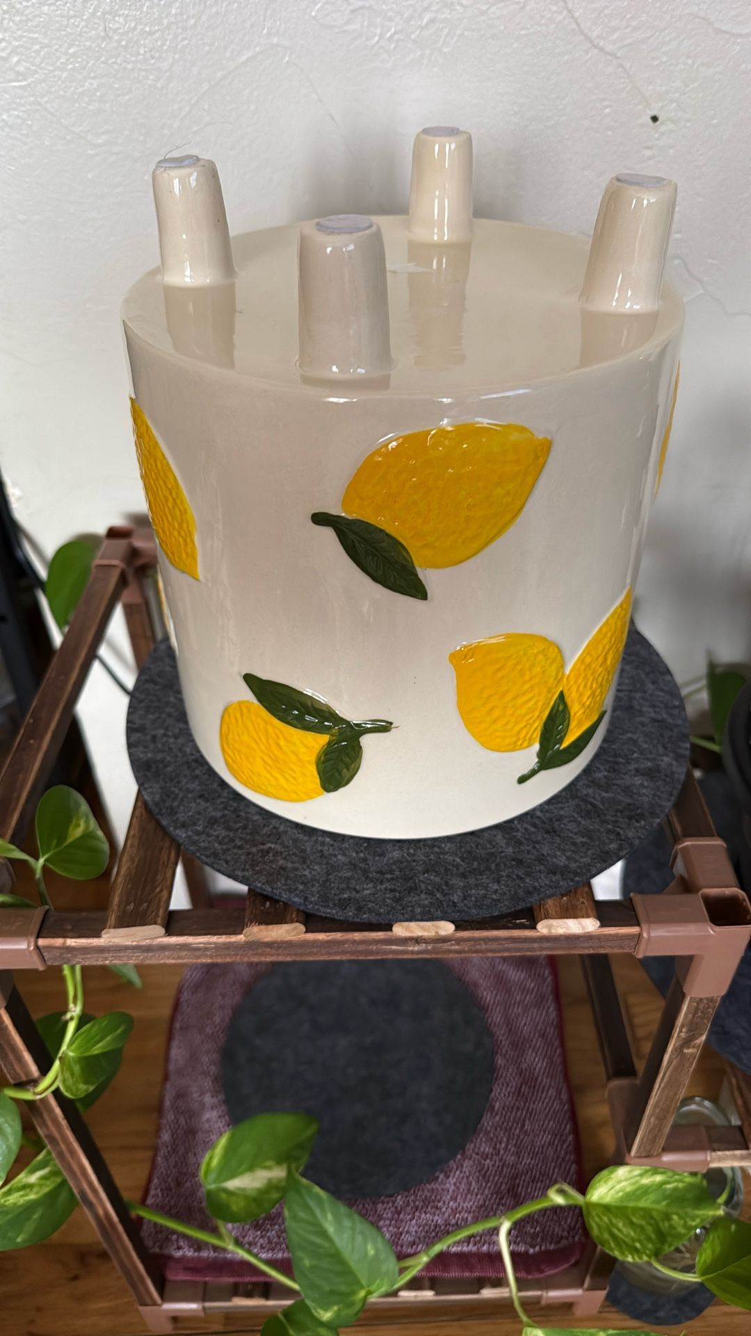 Cute Lemon Ceramic Planter