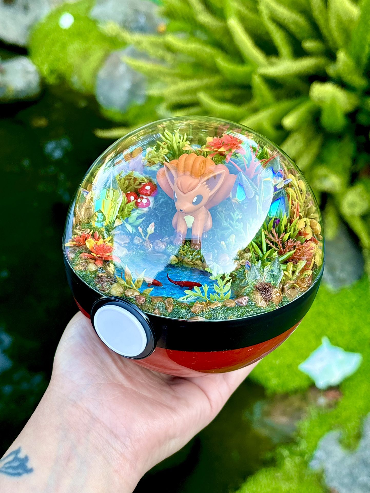 Vulpix Pokemon Pokeball Anime Manga Terrarium