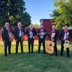 Mariachi Band (contact info removed)