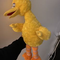 Collectible Plush Kaws Sesame Street 