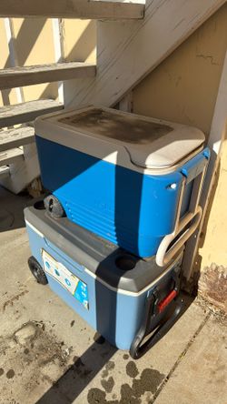 2 Igloo Ice Chests ,  30 Each OBO 