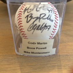 2016 Seattle Mariners Spring Training Signed Baseball 