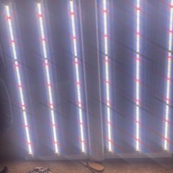 Spectre Pro LED X660 Grow Lights 