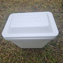 Plaster Icebox