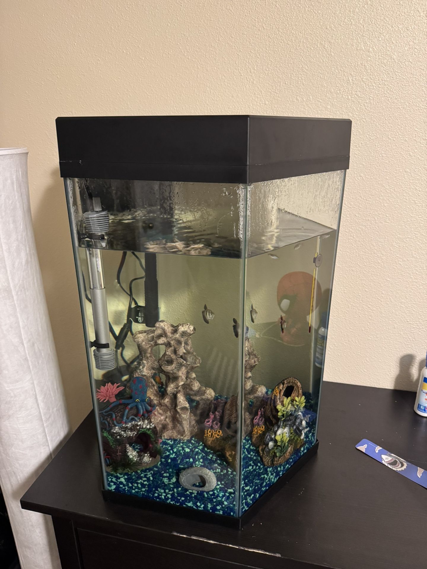 Fish Tank 20 Gallon