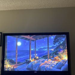 Vizio 55 Inch TV 