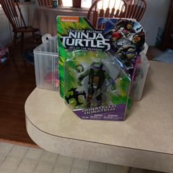 Teenage ninja turtle out of the shadows