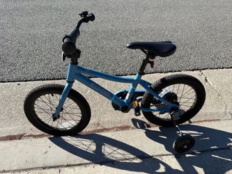 Co-op 16” with Training Wheels from REI