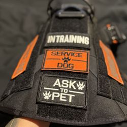 Dog Harness Ice Fang