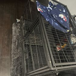 Dog Crate