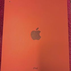PINK apple ipad, 10th generation 
