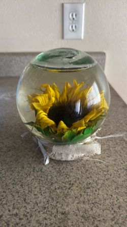 Real Sunflower Globe