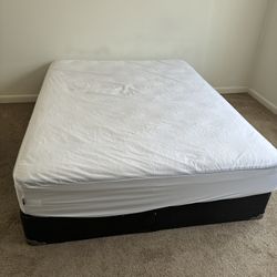 New Bed 
