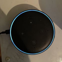 Alexa Speaker