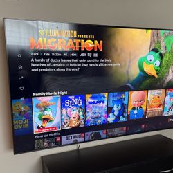 QLED Samsung SMART 75in Tv