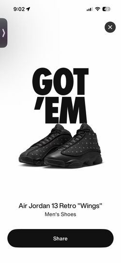 Air Jordan 13 Wings