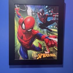 Spiderman Canvas