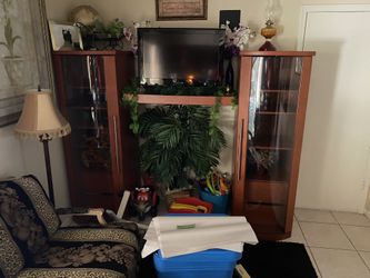 Show Cases With Television Support