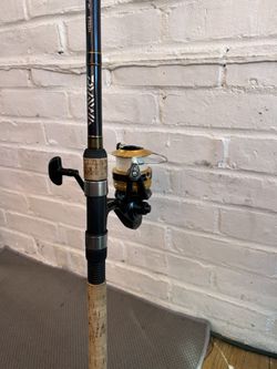 Diawa Fishing Rod & Reel