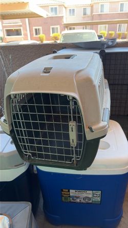 Pet carrier