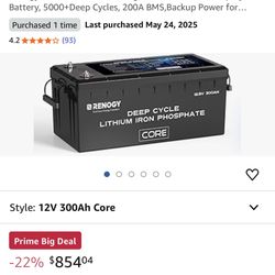 Renogy 12V 300Ah  Battery 