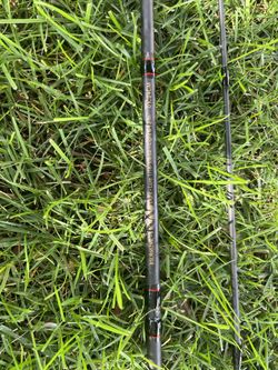 Berkeley Fishing Spinning Rod