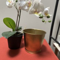 FEJKA Artificial potted plant, Orchid white, 3 ½ " And Extra ikea Pot