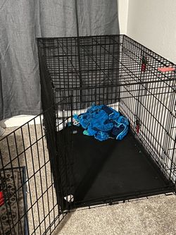 Dog crate KONG 42”