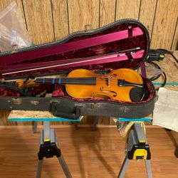 Violin