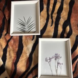 Two Plant Picture Frames