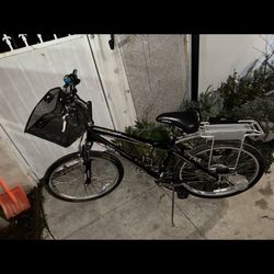 Ezip Electric Bicycle 24 Volts 