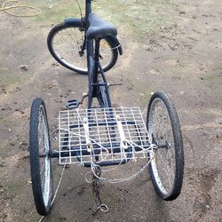 Trike Bicycle Works Good Just Needs Tubes $$60