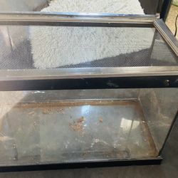 Reptile aquarium