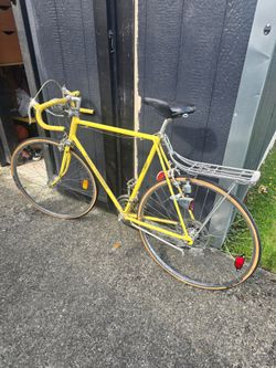 Vintage Schwinn Bicycle(s)