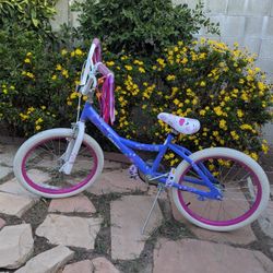 20-In Kids Bike