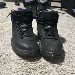 Jordan 12 Dark Concord