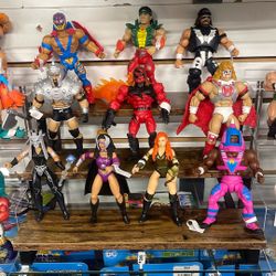 MOTU x WWE figures
