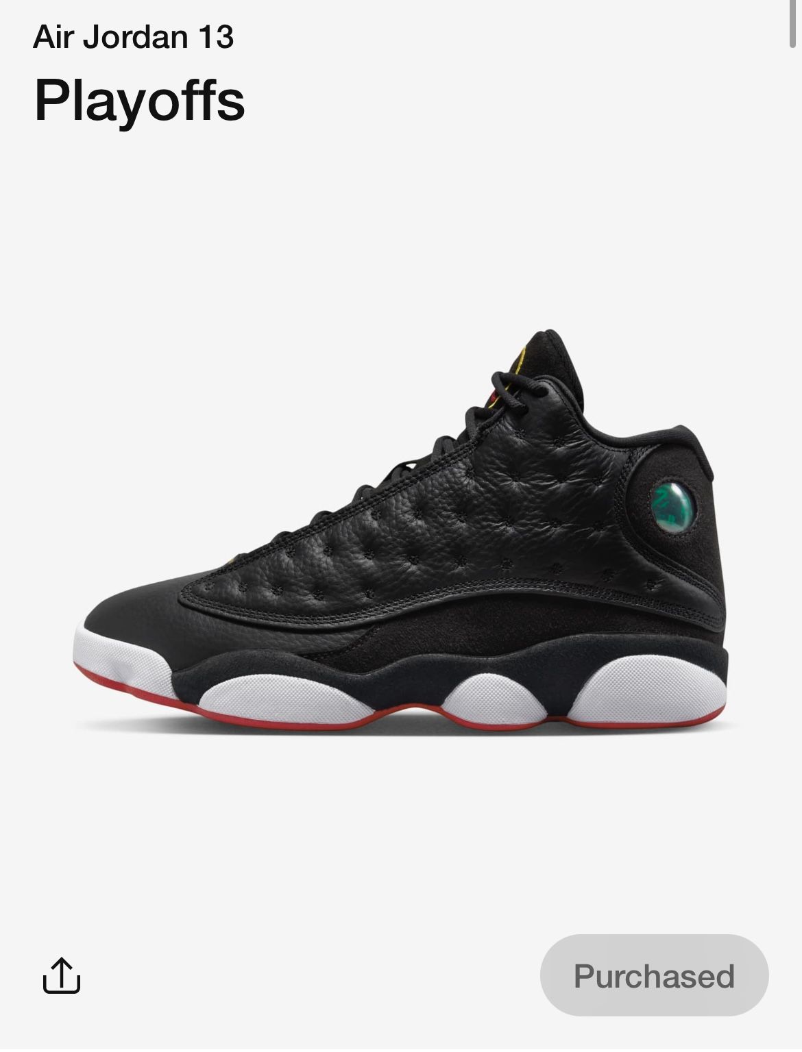 Jordan 13 Playoffs (Brand new)