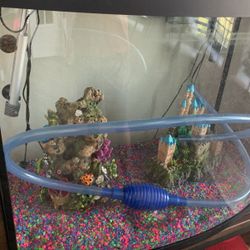 Fish Tank And Accessories For Sale